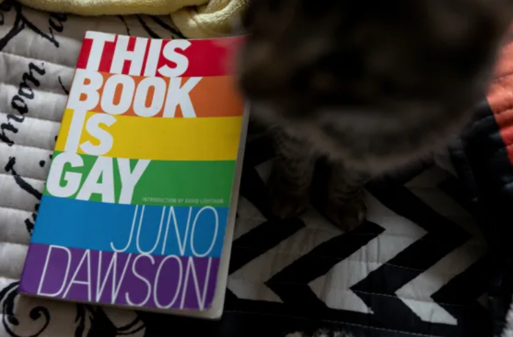 vlnzl's tweet photo. The "Putinization" of Public Ed-#Texas Sup. tells librarians 2 pull books on sexuality, transgender people https://t.co/jifdT3rQ8n #txed  #Putinization #gay @utexascoe #SB3 @TexasHDC @TxTLEEC @RoyceWestTX @RepMaryGonzalez #SayNoToCensorship #Fascism #SayNoToFascism @TFN @CDFTexas https://t.co/HziJBb2Sim