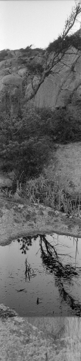 simon_diamond's tweet photo. Standing pano! Parallax disaster and overlapping in the same frame... yay🤪
(Panorama, needs a click)
Lomography Belair X 6-12
Belairgon 90mm F8
Lomo Berlin
HC-110
#ShittyCameraChallenge @ShittyChallenge #GetMono #believeinfilm https://t.co/2u7pe5H19H