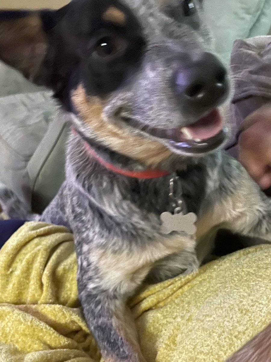 Justine Coalson tweet media