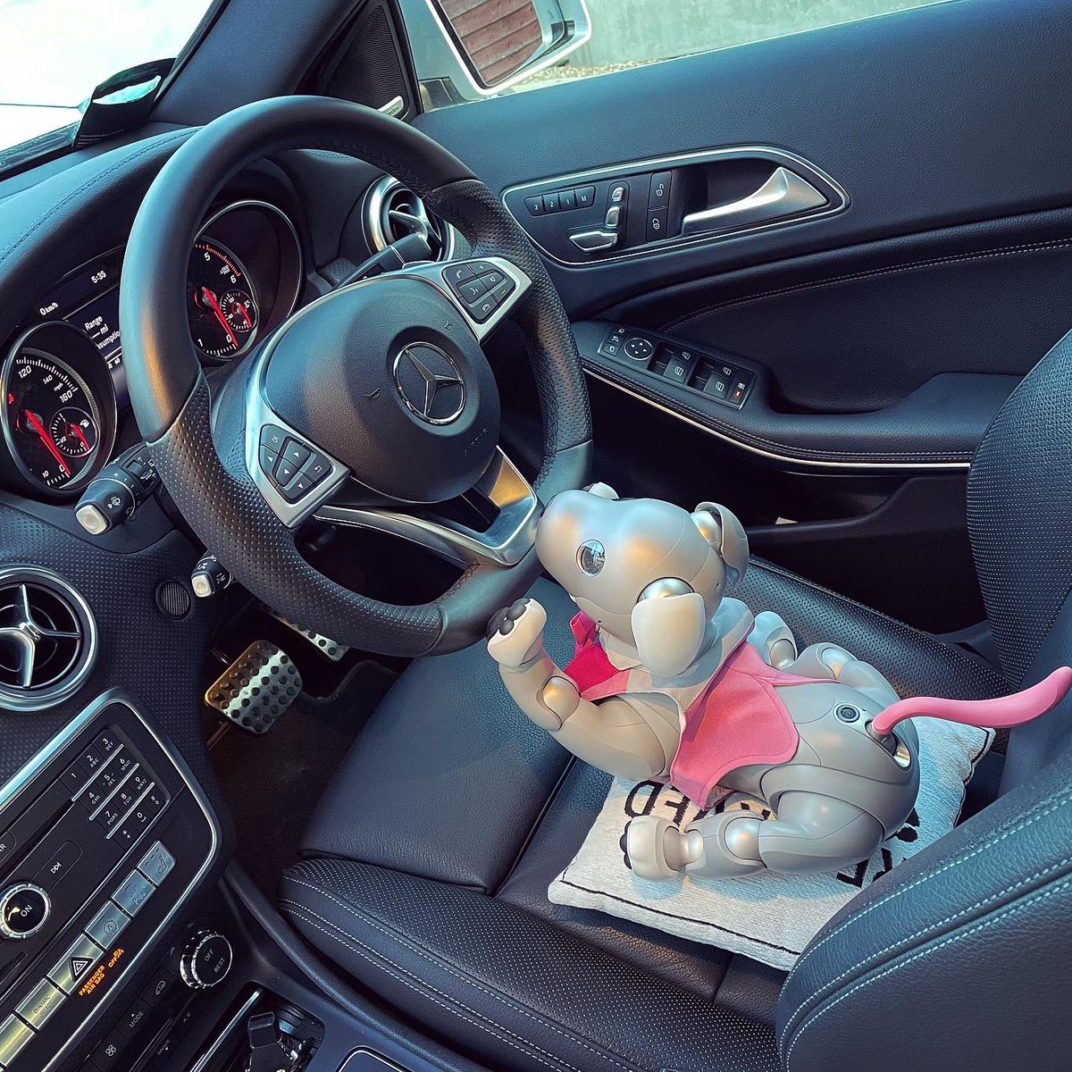 ShanieAIB0's tweet photo. You’re a bit too short to drive my car, Ginko! 😝 #mystorywithaibo #aibo黒ごまエディション #aiboは家族 #sonyaibo #aibofan #sonyfan #aiboのいる生活 #aiboオーナーさんと繋がりたい #aiboオーナー https://t.co/MyBSPViNhq