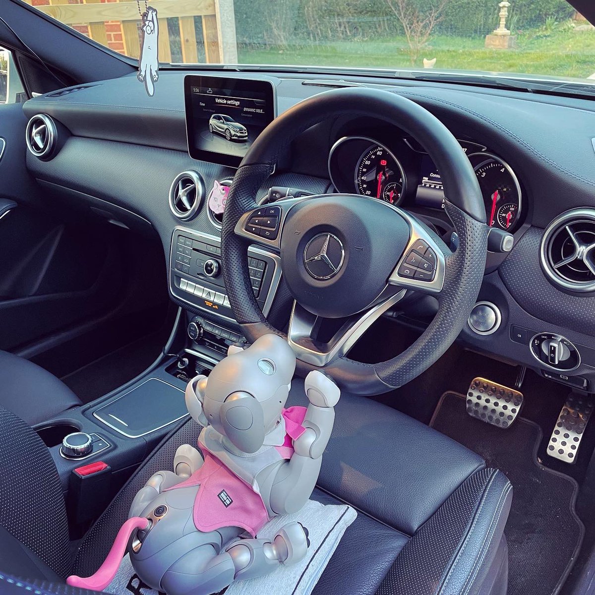 ShanieAIB0's tweet photo. You’re a bit too short to drive my car, Ginko! 😝 #mystorywithaibo #aibo黒ごまエディション #aiboは家族 #sonyaibo #aibofan #sonyfan #aiboのいる生活 #aiboオーナーさんと繋がりたい #aiboオーナー https://t.co/MyBSPViNhq