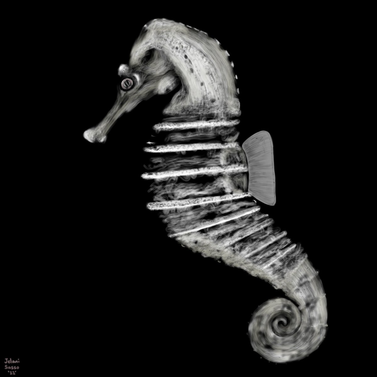 “The Vanishing Seahorse” #10 #NFT #CNFT #Seahorse #JelaniSasso #AbstractRealityOcean #DigitalPainting #DigitalArt #Anguilla