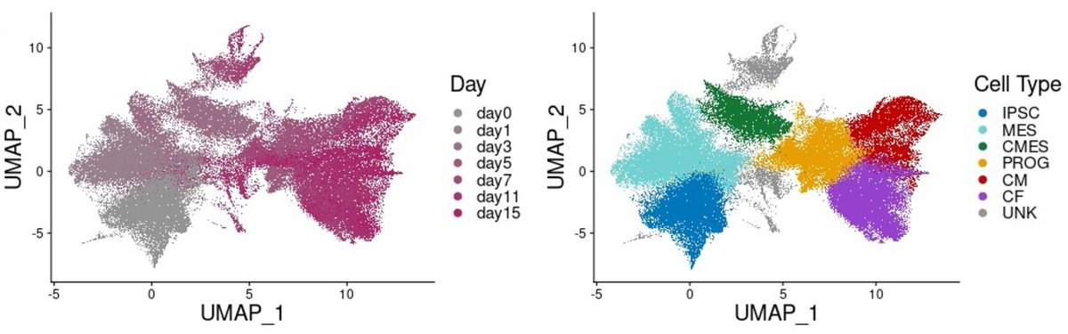 PLOS Genetics (@plosgenetics) on Twitter photo How can variant-gene associations change over time?
Elorbany & Popp et al analyze gene expression data from stem cells differentiating to cardiomyocytes
๐: doi.org/10.1371/journaโฆ
<a href="/reem_elo/">Reem Elorbany</a> <a href="/popp_josh/">Josh Popp</a> <a href="/BennyStrobes/">Ben Strober</a> <a href="/guanghao_qi/">Guanghao Qi</a> <a href="/Y_Gilad/">Yoav Gilad</a> <a href="/alexisjbattle/">Alexis Battle</a> #genetics #stemcells How can variant-gene associations change over time?
Elorbany & Popp et al analyze gene expression data from stem cells differentiating to cardiomyocytes
๐: doi.org/10.1371/journaโฆ
<a href="/reem_elo/">Reem Elorbany</a> <a href="/popp_josh/">Josh Popp</a> <a href="/BennyStrobes/">Ben Strober</a> <a href="/guanghao_qi/">Guanghao Qi</a> <a href="/Y_Gilad/">Yoav Gilad</a> <a href="/alexisjbattle/">Alexis Battle</a> #genetics #stemcells