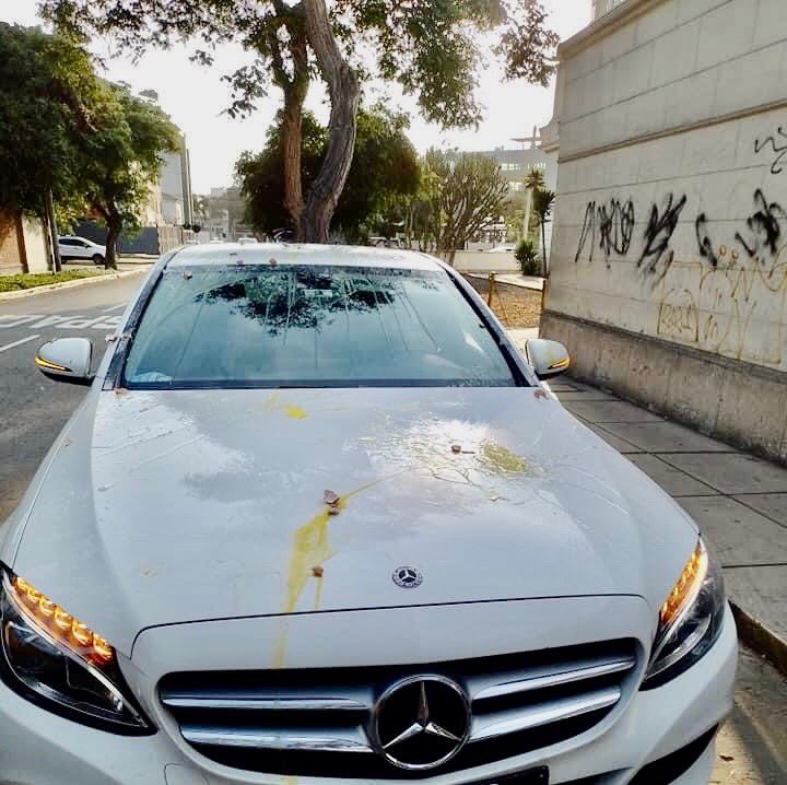 Un impresentable miembro de la actual junta directiva se atreve a insinuar que no estaba en mi vehículo, no saben que argumentar para no dejar la mamadera. <a href="/CALPERUOFICIAL/">Colegio de Abogados de Lima</a> #ColegioDeAbogadosDeLima