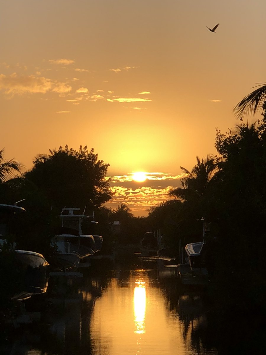 $ENZC family #ENZC #greatresponse !!! Can’t wait to see what’s going on behind the scenes. #exciting #IPFimmune #sales #tsunami 

And again, Another day closer….. 
#floridakeys #sunset #pelican https://t.co/PGyqMqFdIF