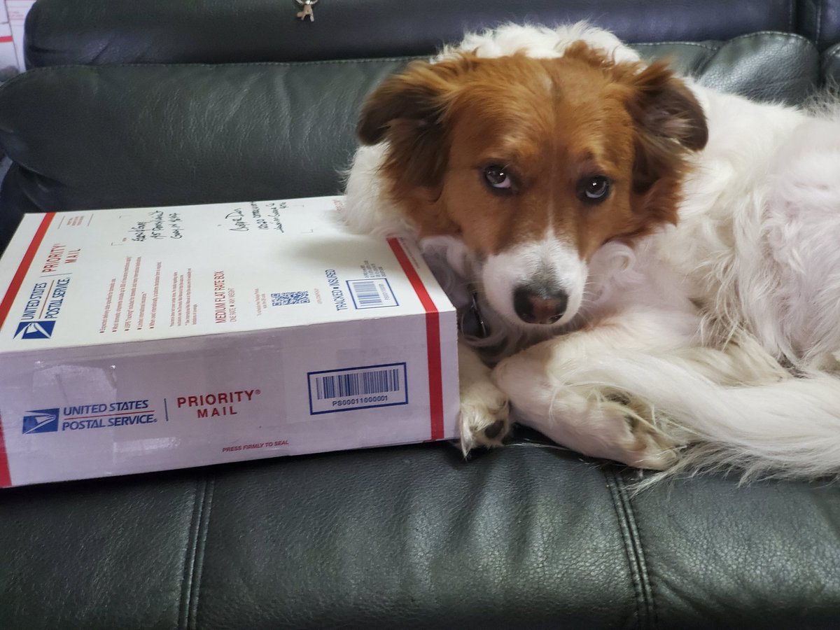 EdenLake's tweet photo. #VisualEdenStudios shipping & supply dog-ager #JackKerouac personally checks & double checks all shipping addresses for accuracy. https://t.co/cq8eJS7iXZ