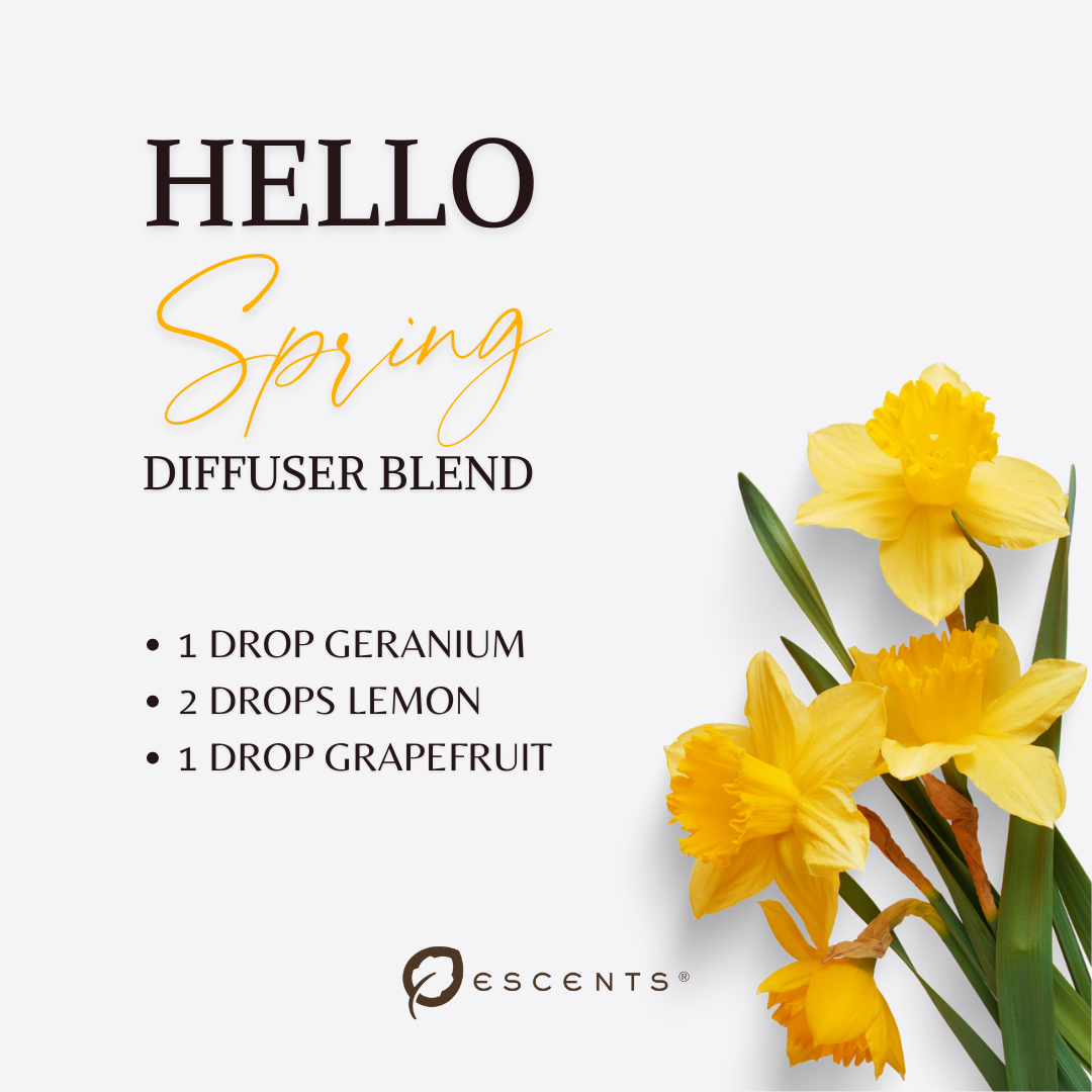 escents's tweet photo. Welcome spring with this rejuvenating diffuser blend!🌻What is your favourite combo to diffuse right now? #spring #diffuserblend #geranium #lemon #grapefruit https://t.co/5rETCi04Rc