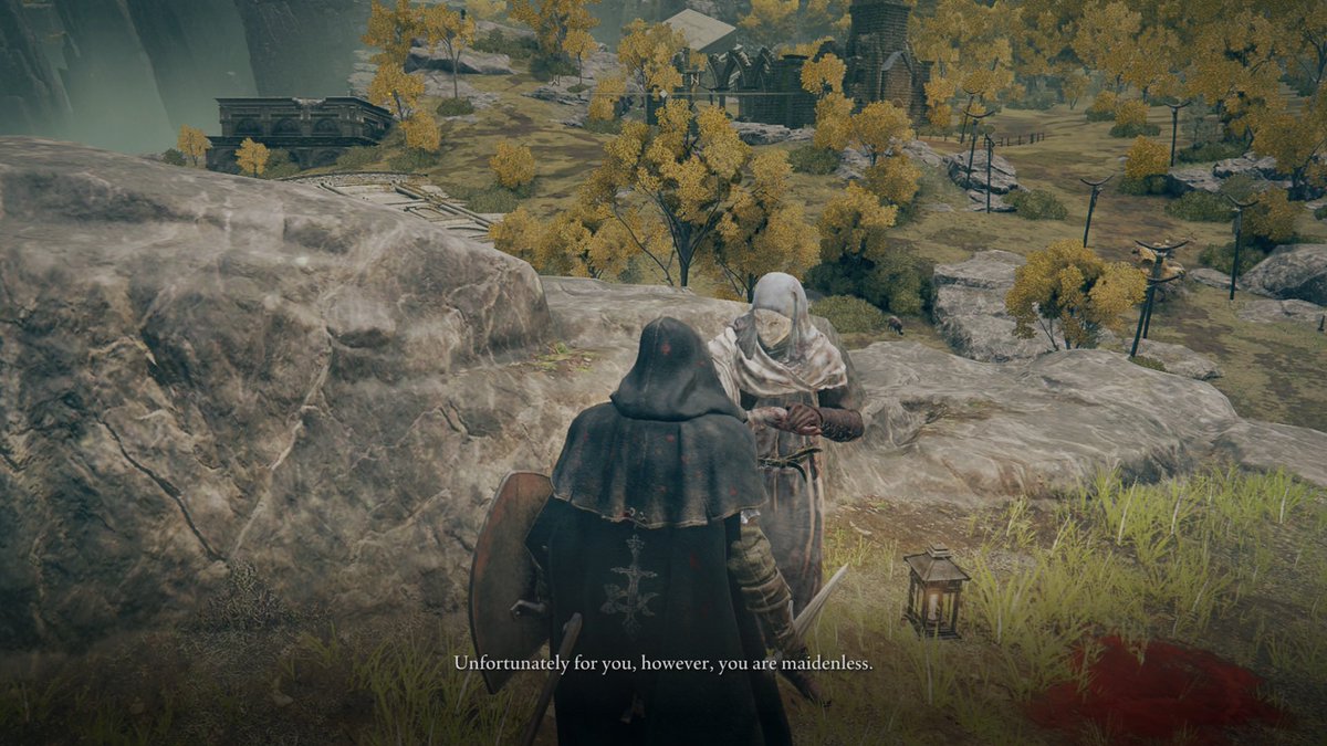 NB_Scribbs's tweet photo. Know this account is dead as hell but we’re still thriving 

#eldenring #gameplay #beenhavingablast https://t.co/EEIkrAtpkD