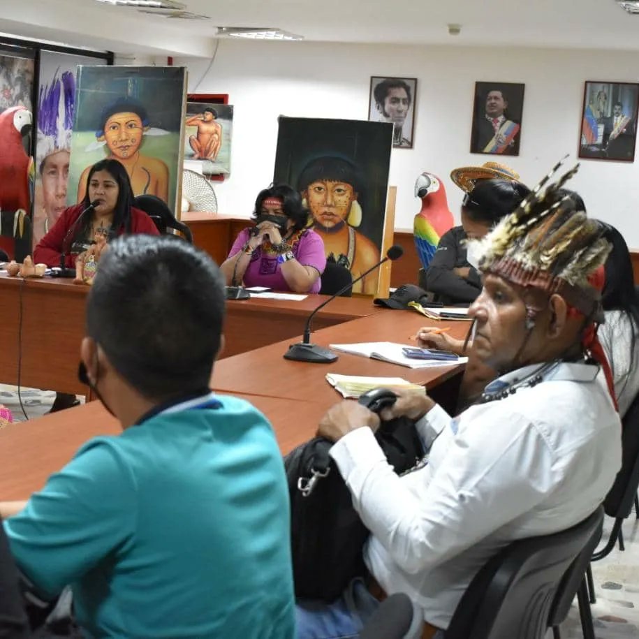 CLARAVIDALV's tweet photo. En videoconferencia con los líderes y lideresas del sector  indígena @PartidoPSUV trazamos el plan de despliegue territorial de los temas abordados durante el V Congreso PSUV y IV JPSUV. La unión es la garantía de la Victoria. ¡VENCEREMOS! @NicolasMaduro @dcabellor @d_guzmanl https://t.co/2pt5iY1bck