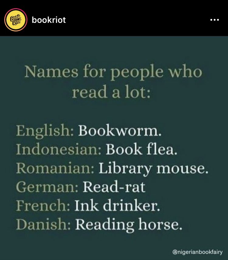 Which one is your favorite?? 🐭🐴🐀🪱 #tlbookshopva #indiebookstore #midlothianva #shopsmall 
📸credit <a href="/bookriot/">Book Riot</a>