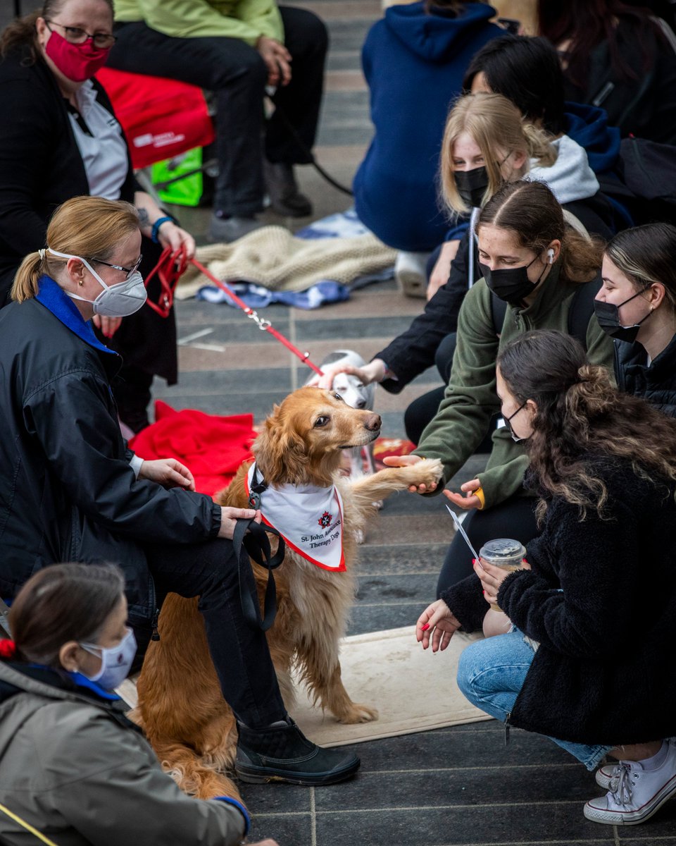 cbcnewsbc's tweet photo. Here are some therapy dog photos to cleanse your timeline 🐶
⁠
Simon Fraser University offered the canine cuddles on Wednesday for students needing a break from exam season.⁠

📷: CBC's @Ben_Nelms https://t.co/ywmyaHnqzu