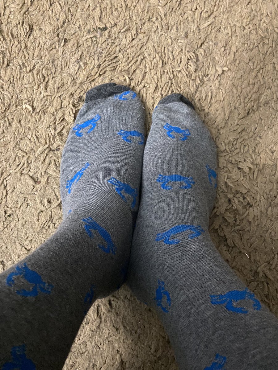 n8ture_al's tweet photo. #WildSockWednesday
#WeGoneWin #SockIT2Cancer #KeepPounding #vanslegacy https://t.co/ejsU2t62Og