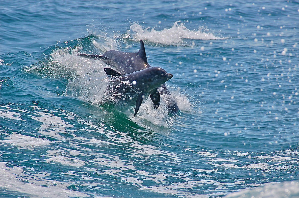 pcbwarren™ tweet media