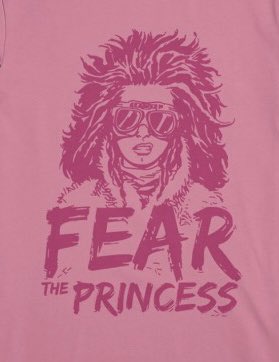 NocbroNation's tweet photo. @Meekdeadhead #FearThePrincess https://t.co/Y22F3poGq1