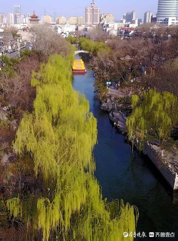 TouchShandong's tweet photo. Photos taken on March 22 show willows along the #moat in #Jinan, E #China’s #Shandong Province turning green in #spring, fluttering in the gentle breeze. #charmingshandong #scenery #landscape #springview https://t.co/QQaOQg9xKb