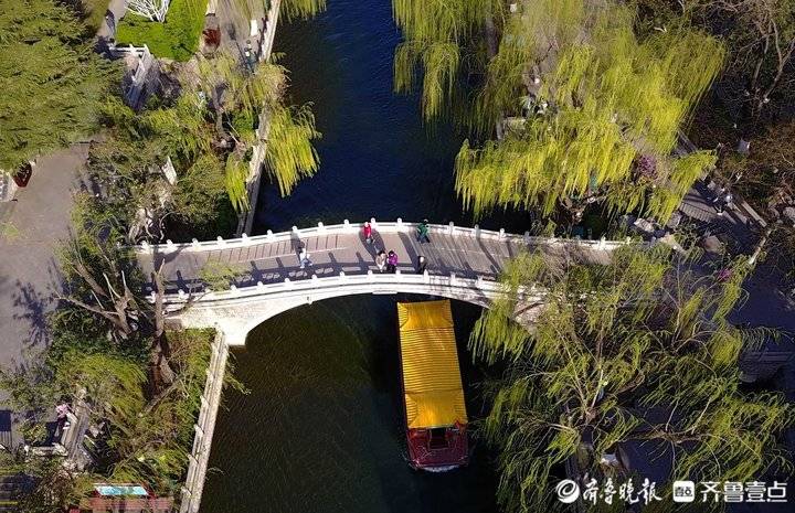 TouchShandong's tweet photo. Photos taken on March 22 show willows along the #moat in #Jinan, E #China’s #Shandong Province turning green in #spring, fluttering in the gentle breeze. #charmingshandong #scenery #landscape #springview https://t.co/QQaOQg9xKb
