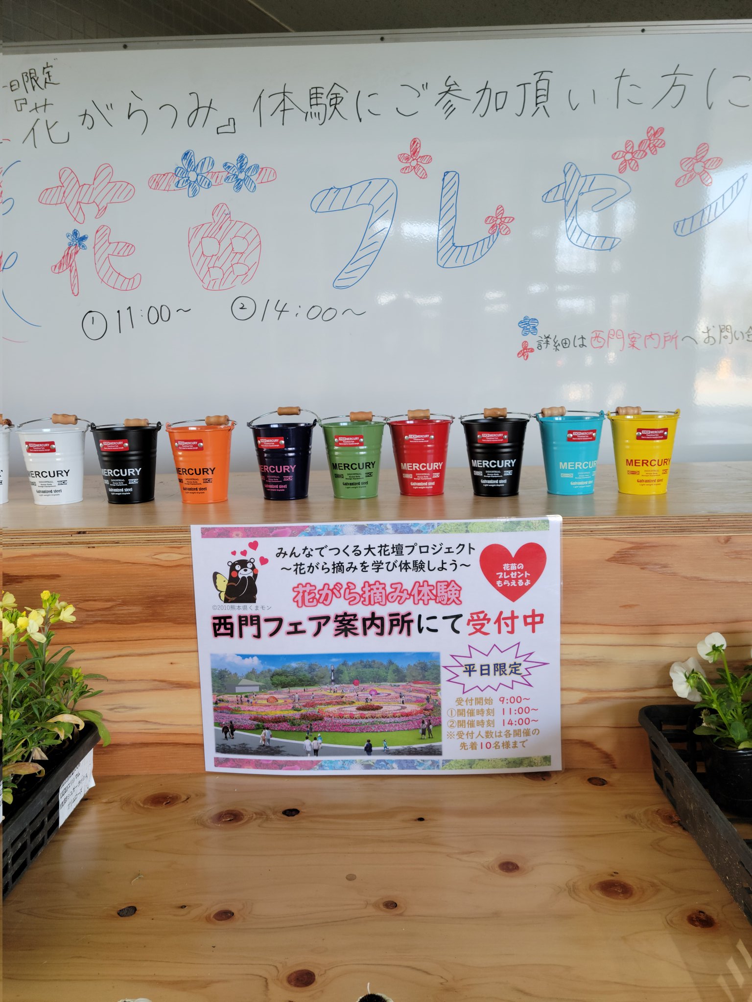熊本市動植物園 公式 Kumamotocityzoo Twitter