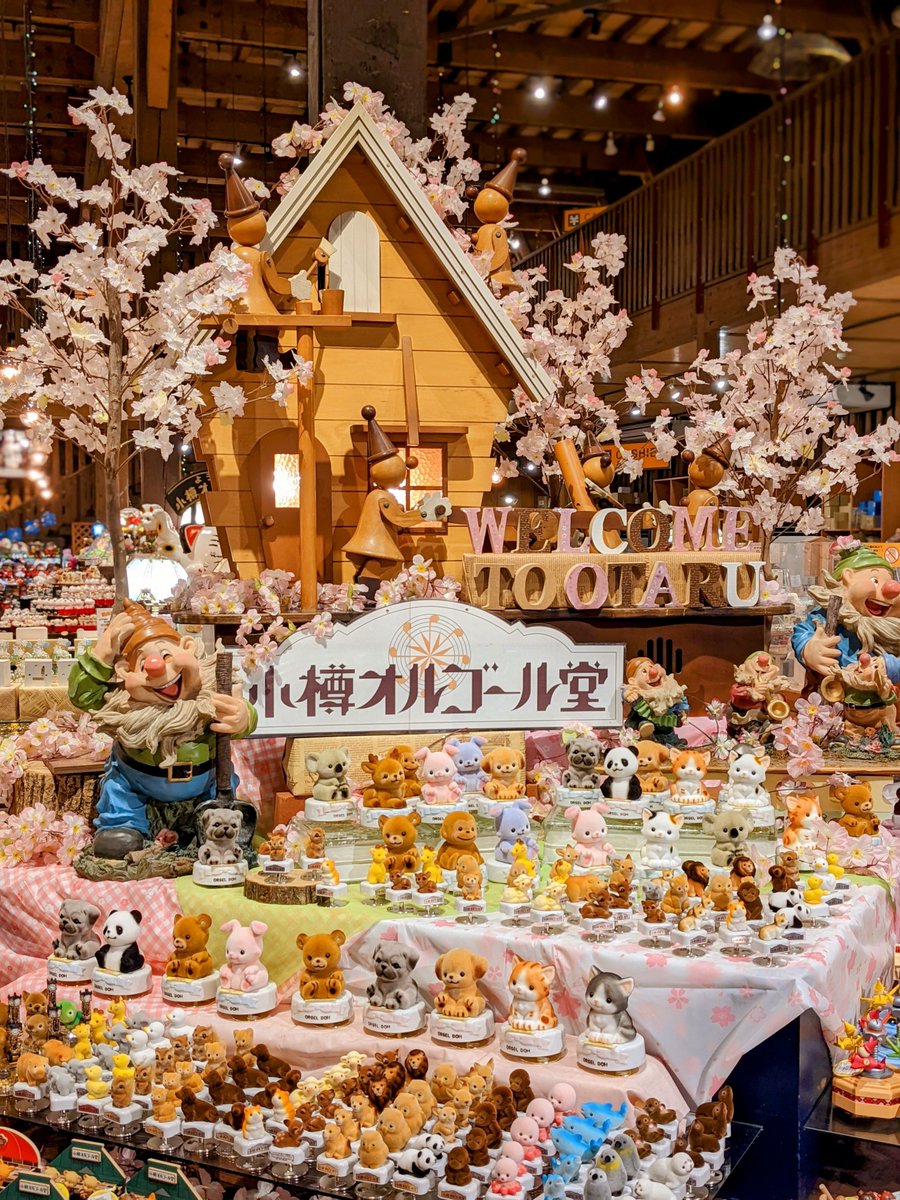 🌸Spring has come!🌸 ひと足早く #小樽オルゴール堂 本館1階のメイン