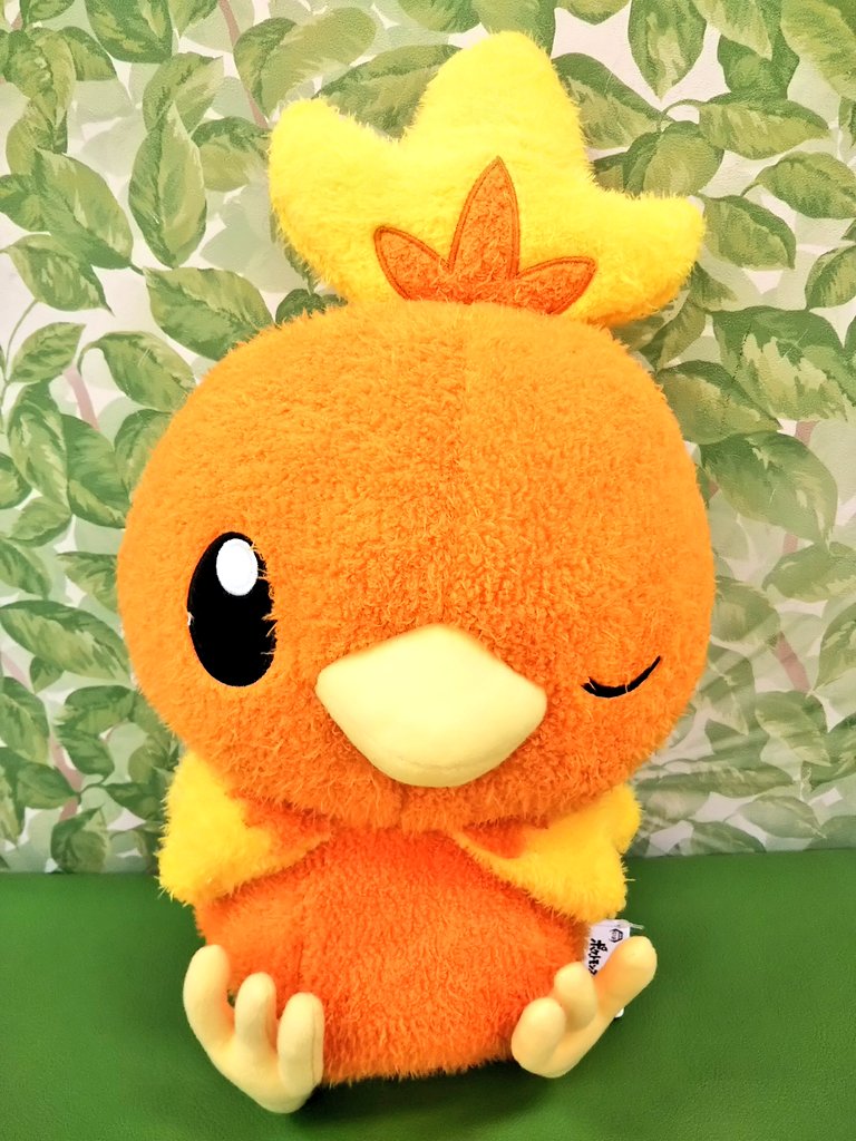 アチャモぬいぐるみ Twitter Search Twitter