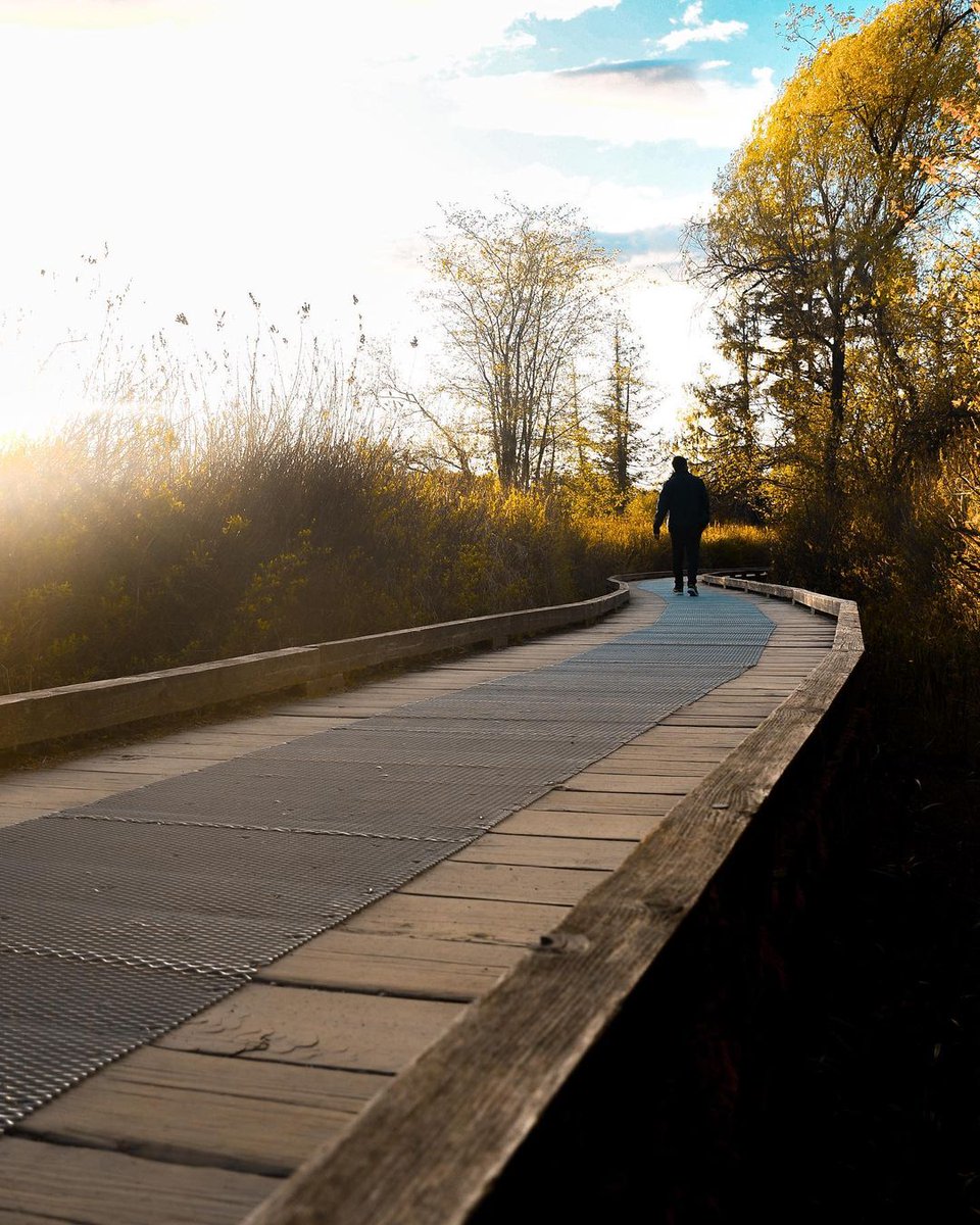 Was that a glimpse of sun this afternoon in Burnaby❓
Spring, are you really here❓

📍 : Deer Lake
📸 : mayooran604 (In)

Don't forget to share your shots with us using #Burnaby365