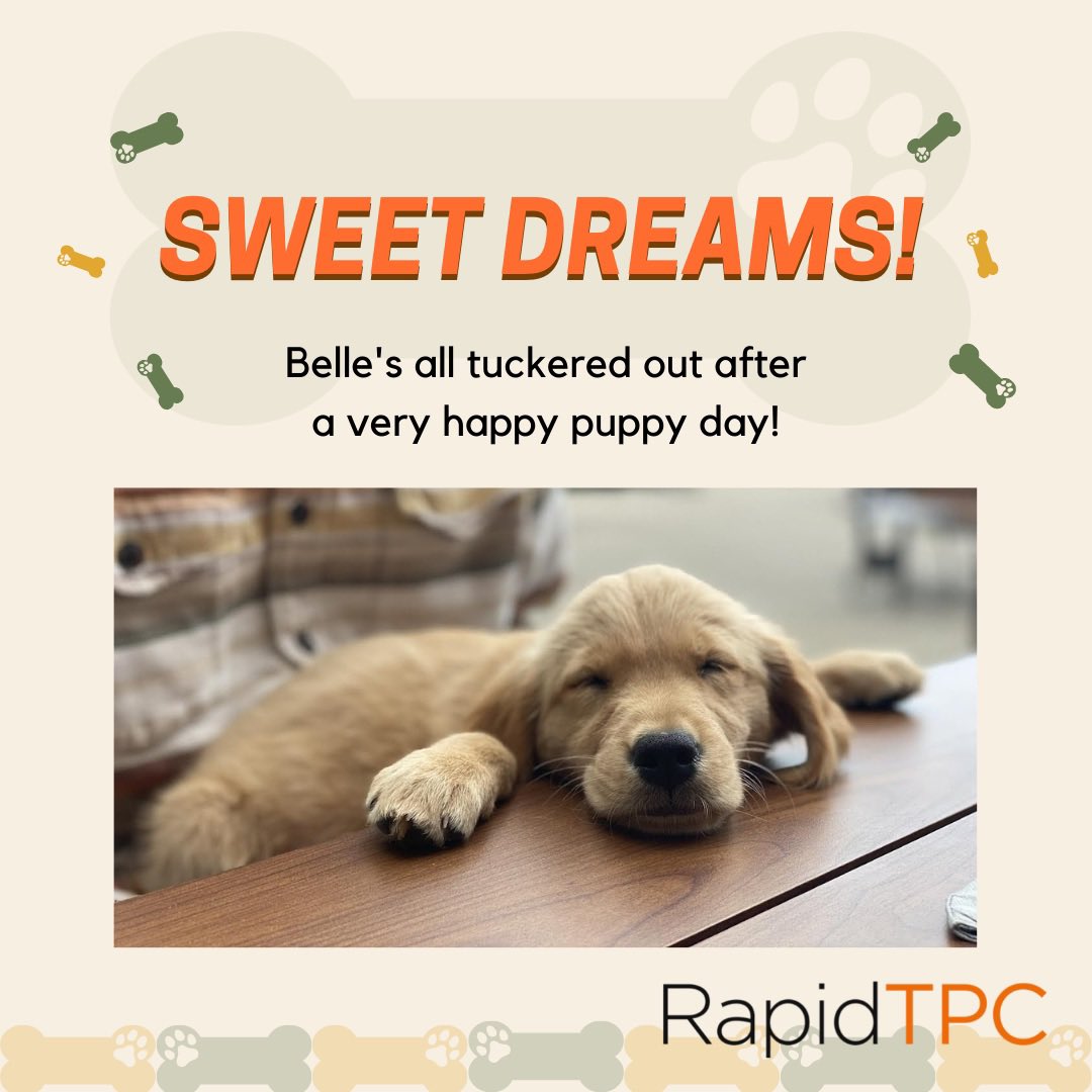 Happy Puppy Day from Rapid TPC! We can help make all your carbon fiber and thermoplastic composite dreams come true! 🐶 #nationalpuppyday #rapidtpc #carbonfiber #dogsofinstagram