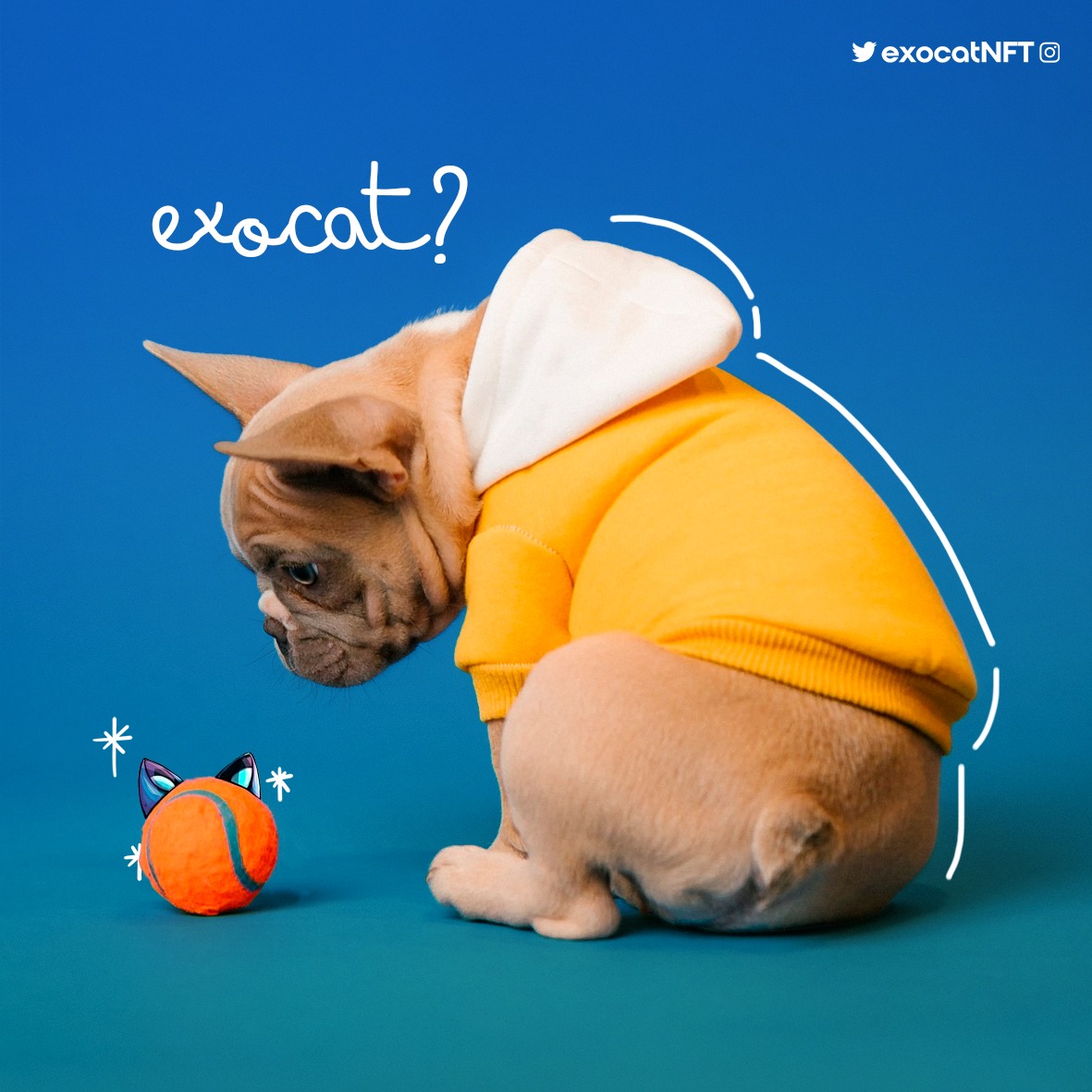 ExocatNFT's tweet photo. Some dogs think cats are small... that's because they don't know an ExoCat 😼

#NFTCollection #Reveal #NFTartist #nftart #CoolCats #NFTCommunity https://t.co/oaLfnmojBN