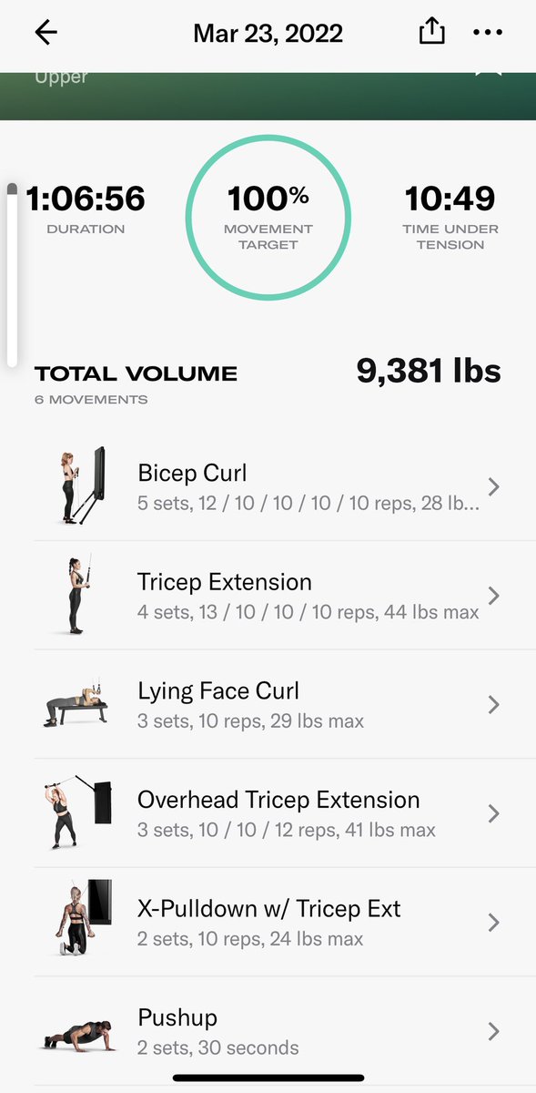 Maximilian Dood tweet media