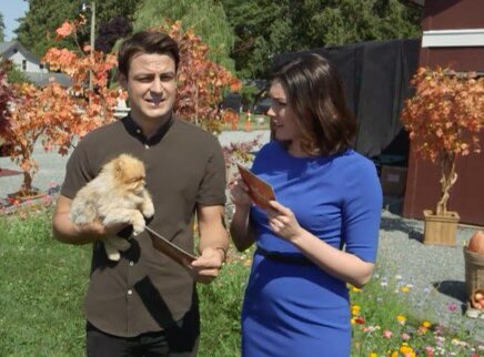 Dorano's tweet photo. #TylerHynes30DaysActorChallenge 
Day 20: Falling For You- just loved this little gem.
@tyler_hynes @hallmarkchannel @ahillbythecreek @donnajo63 @darla_tapp https://t.co/SaE887f27z