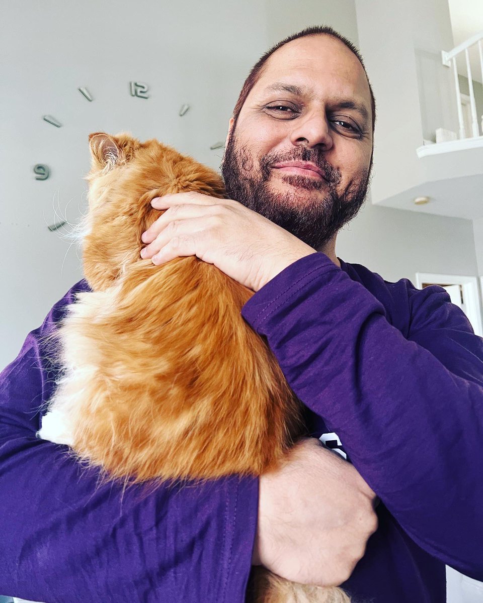 The key to a successful new relationship between a cat and human is patience.