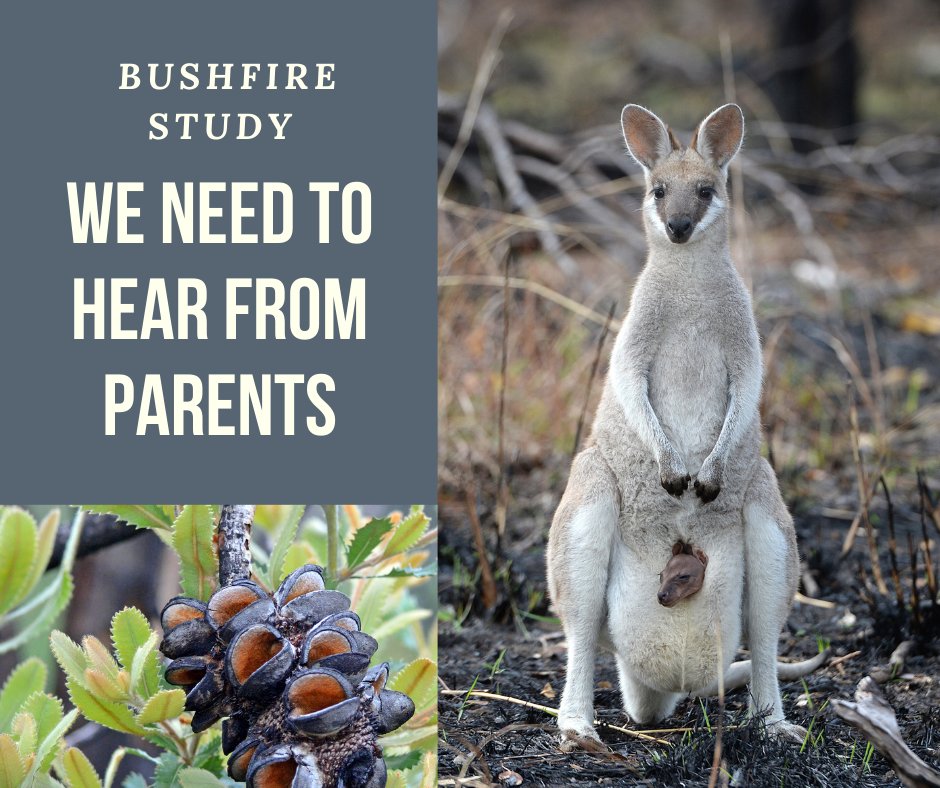 Researchers at @ANU are interviewing parents about the impacts of #bushfire on family and community health and wellbeing. Register your interest to take part in a 1-2 hour interview. Participants receive a $50 e-gift card. psychology.anu.edu.au/research/proje…