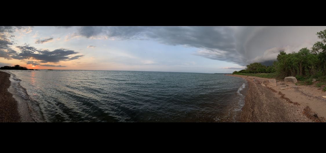 rftte's tweet image. Darwin, always puts on a good show... #NTCA #NTCA2022 @NTCattlemen