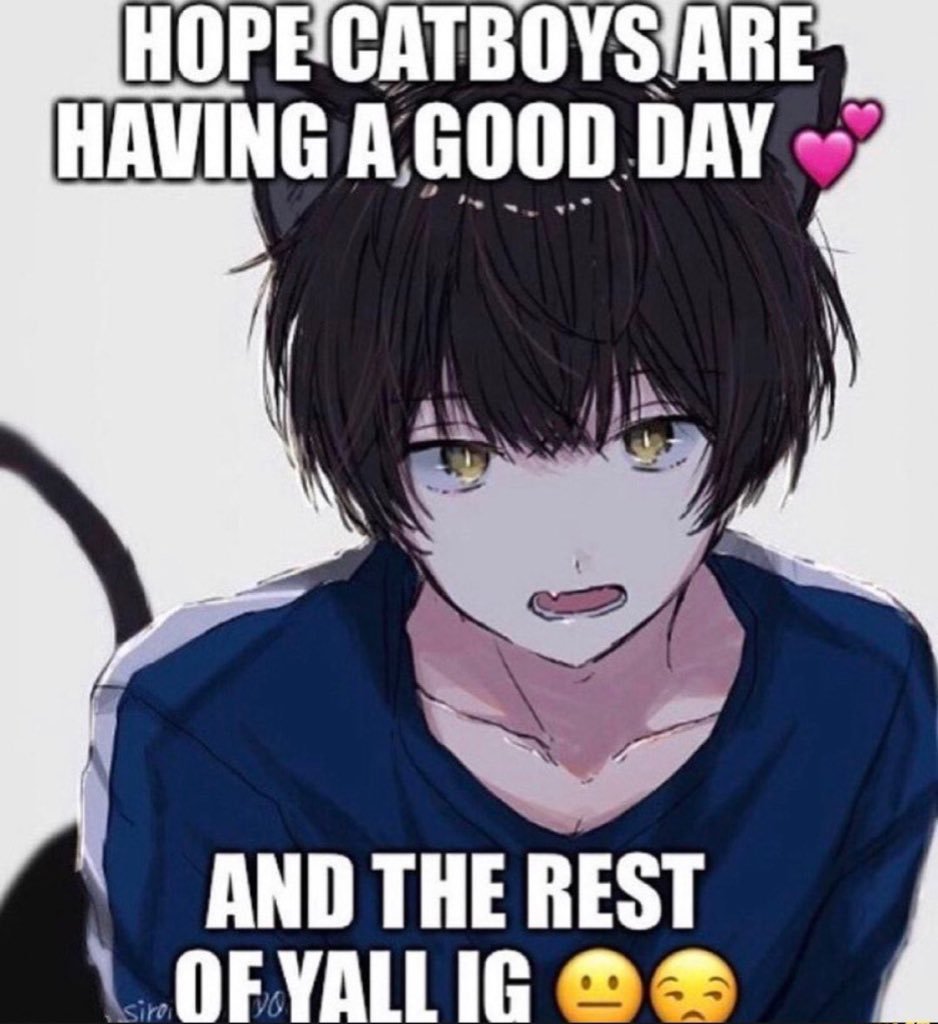 — Apollo ☼ (@poiiy_wog) on Twitter photo 