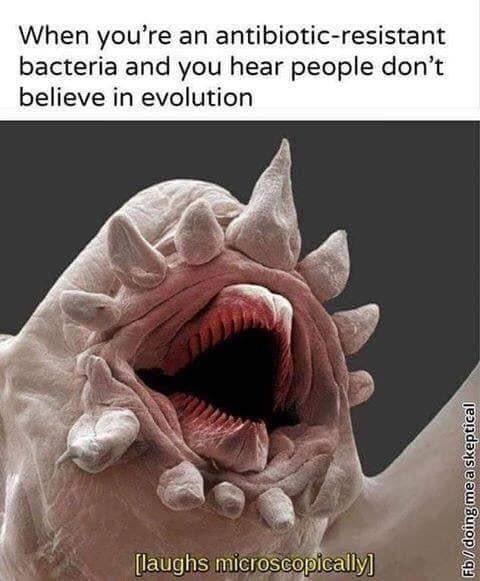 pathogenzNFT's tweet photo. Still crackin jokes in the Pathogenz lab 😂 #NFTCommunity #NFT #Solana 👍🏼 like and tag some friends 👯‍♀️ Stay tuned!!!! https://t.co/AuwKIHAeFQ