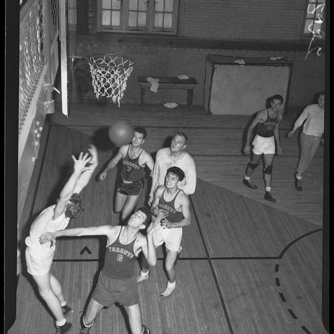 White and black basketball, Basketball Sport, basketball, leaf