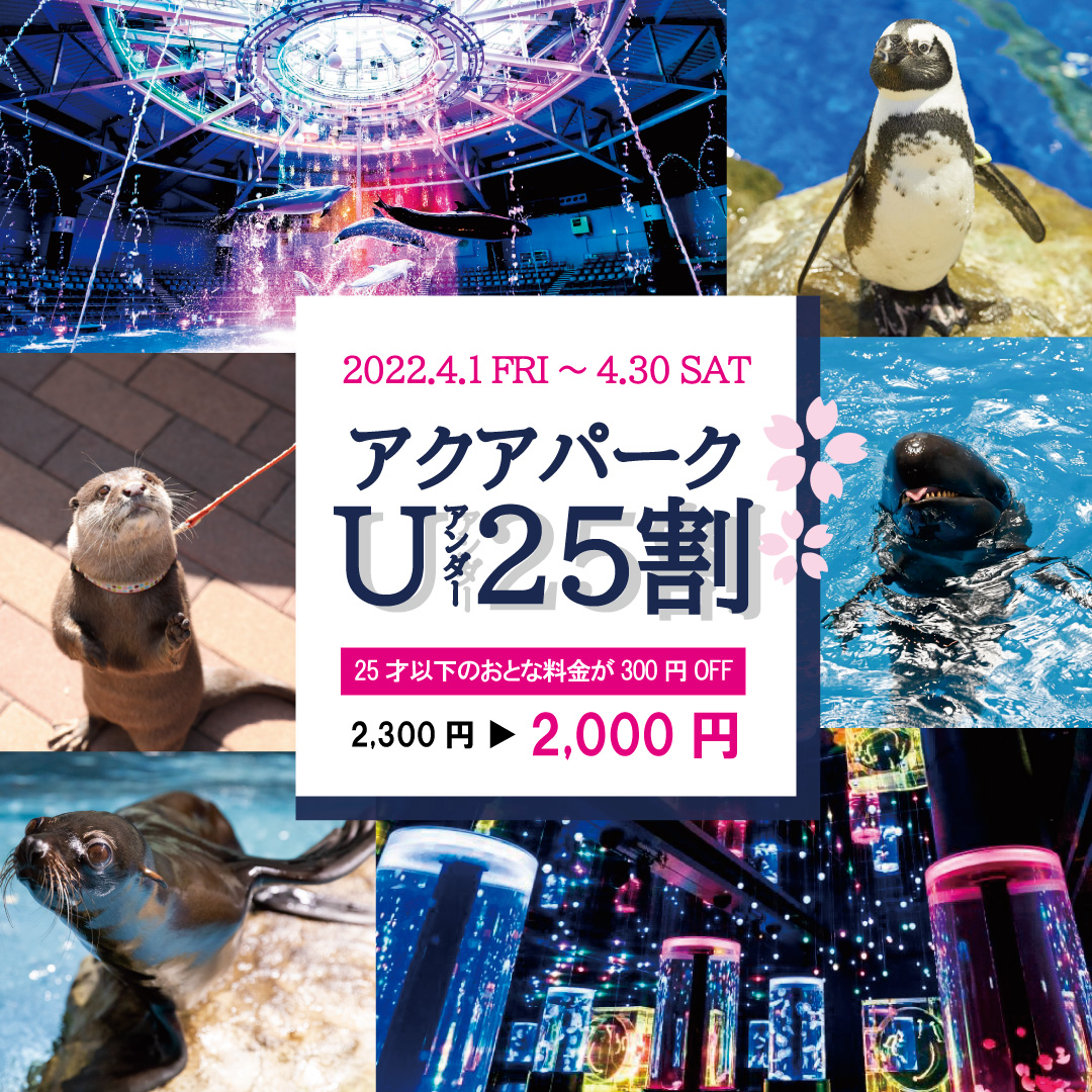 新生活スタート応援キャンペーン🌸 ／ アクアパーク U25割 4/1(金)より