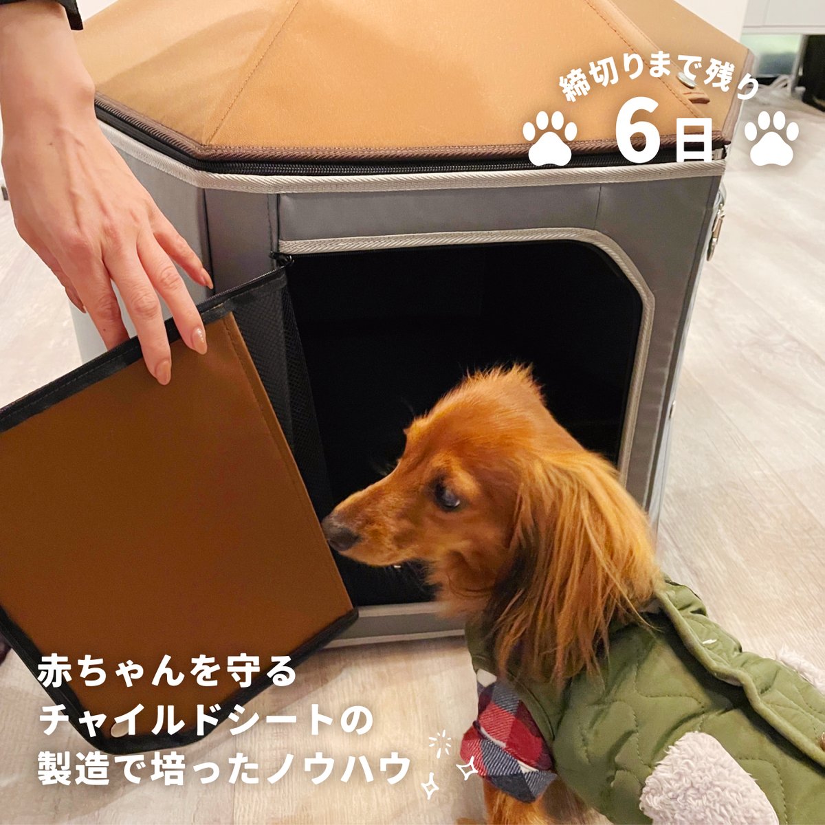 PROFACT2021's tweet photo. こんにちは🙌
#シャオーン Makuakeの締め切りまで残り6日となりました🐕✨
赤ち���んの命を守るチャイルドシートの製造で培ったノウハウを活かし、開発・設計・製造まで一貫して国内生産にこだわり日本製の良さを見直し、企業理念【やさしさと快適を社会に】のもと商品開発をしております！ https://t.co/PW4vMOgppF