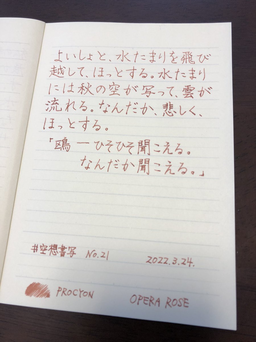 carolcamino's tweet photo. お題をありがとうございます😊
#PROCYON 書きやすいね〜✨
#PELIKAN も変わらぬ書き味✨
ちょっと滲む。
#ハイカラインキ #OPERAROSE
#彩時記 #藤富咲
#mahora
#空想書写 https://t.co/QQ6rZJoA1n