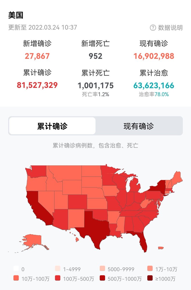 葉星辰 tweet media