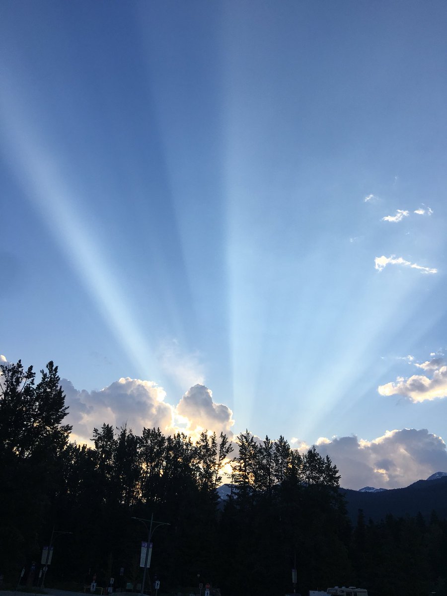 TrueSense-FE tweet media