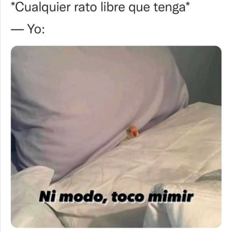 estudihambre's tweet photo. https://t.co/C5Yxlah88n