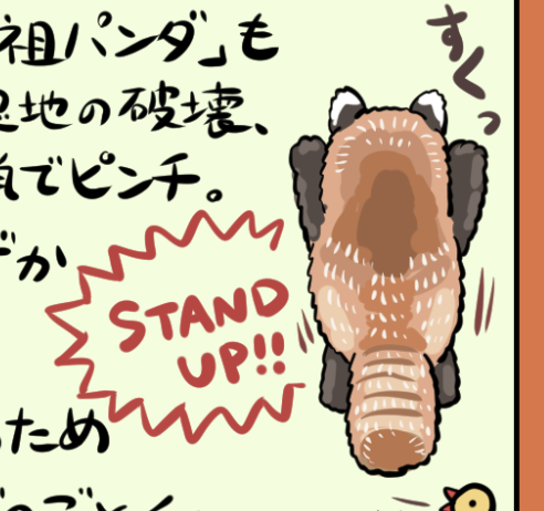 レッサーパンダ、立ち上がって威嚇する(?)姿がかわいいことは知られているが、特に後ろ姿がマジ半端なくかわいいと思うので描かずにいられなかった。このシルエットになる動物を他に思いつかない奇跡のバランス。レッサーパンダを立たせてくれてありがとう、蹠行性(足裏を地面につけて歩く性質)… 
