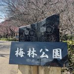 さいみ🎹はっとり音楽教室のツイート画像