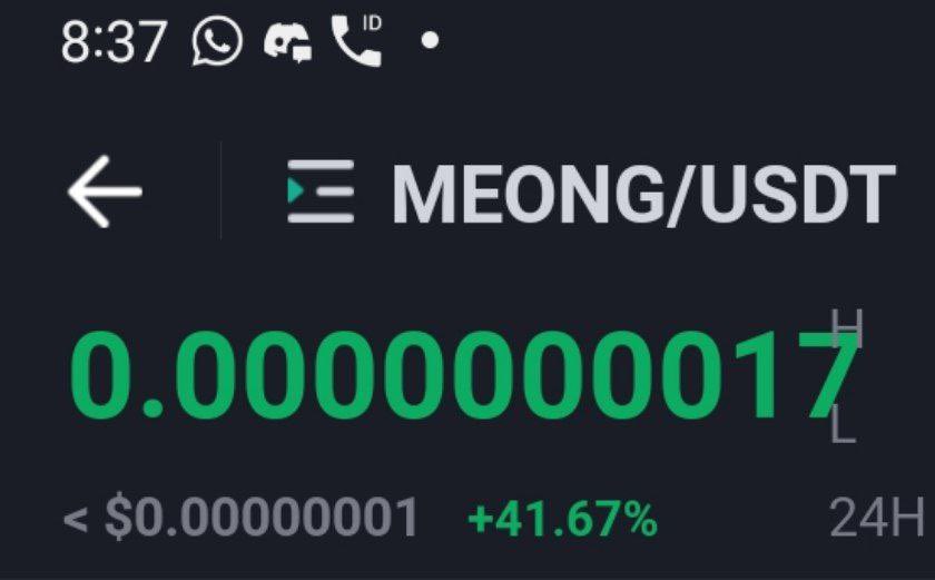 Meong Token tweet media