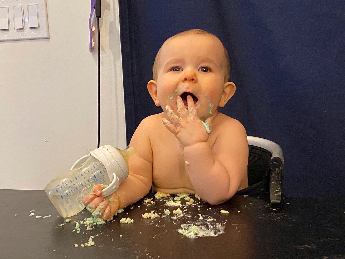 MorChuck21's tweet photo. It’s been a bit, but couldn’t let this day go by w/o wishing my #littlebrother a #happy1stbirthday! It was a delicious massacre on #nationalpuppyday. #morchuck21 #inmemoriam #cakeface #mischiefmanaged #somuchtoshare #delicious #t1d #diabetesawareness #diabeticalertdog https://t.co/jsorrvq35w