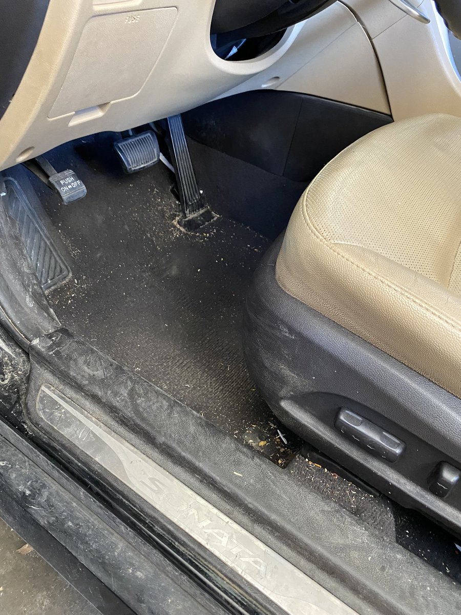 PedroMTZ31's tweet photo. Recently started a small detail business! If you need a clean car shoot me a DM would love to work with y’all✅ https://t.co/NfczfeEqOf
