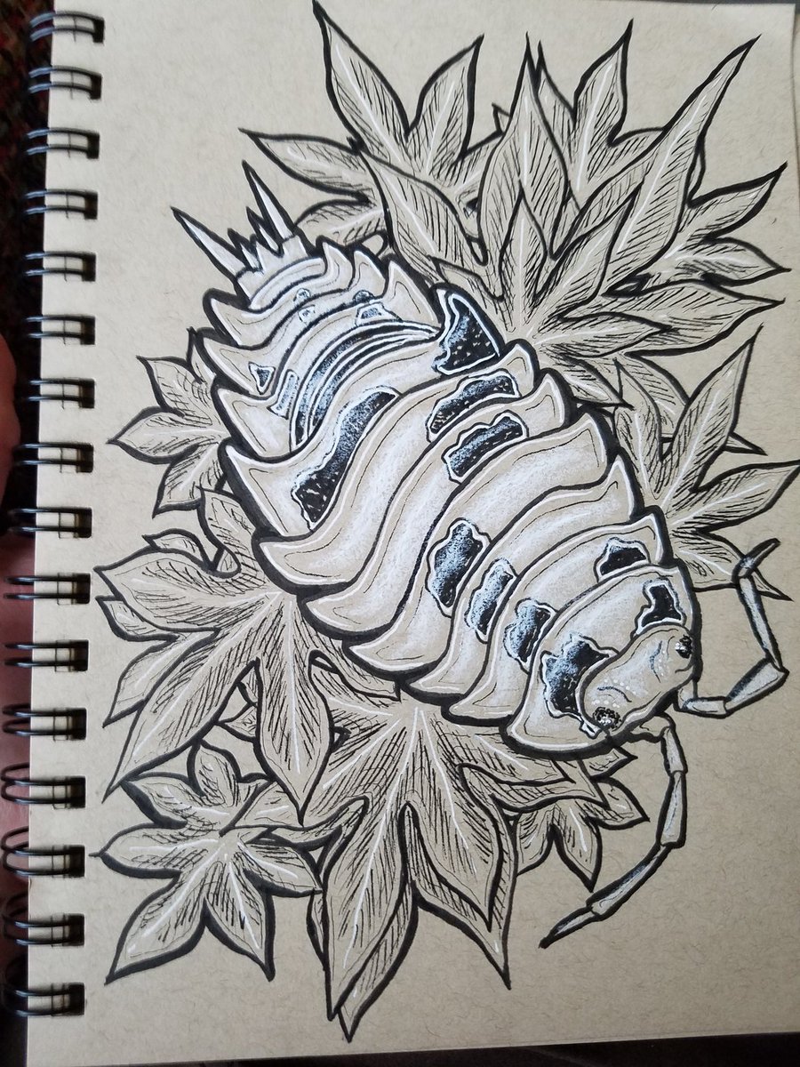 flame_point's tweet photo. Dairy cow isopod and Japanese maple leaves in honor of my tiny maple saplings making it through the winter!
#isopods #dairycows #dairycowisopods https://t.co/HEHIggmLE0