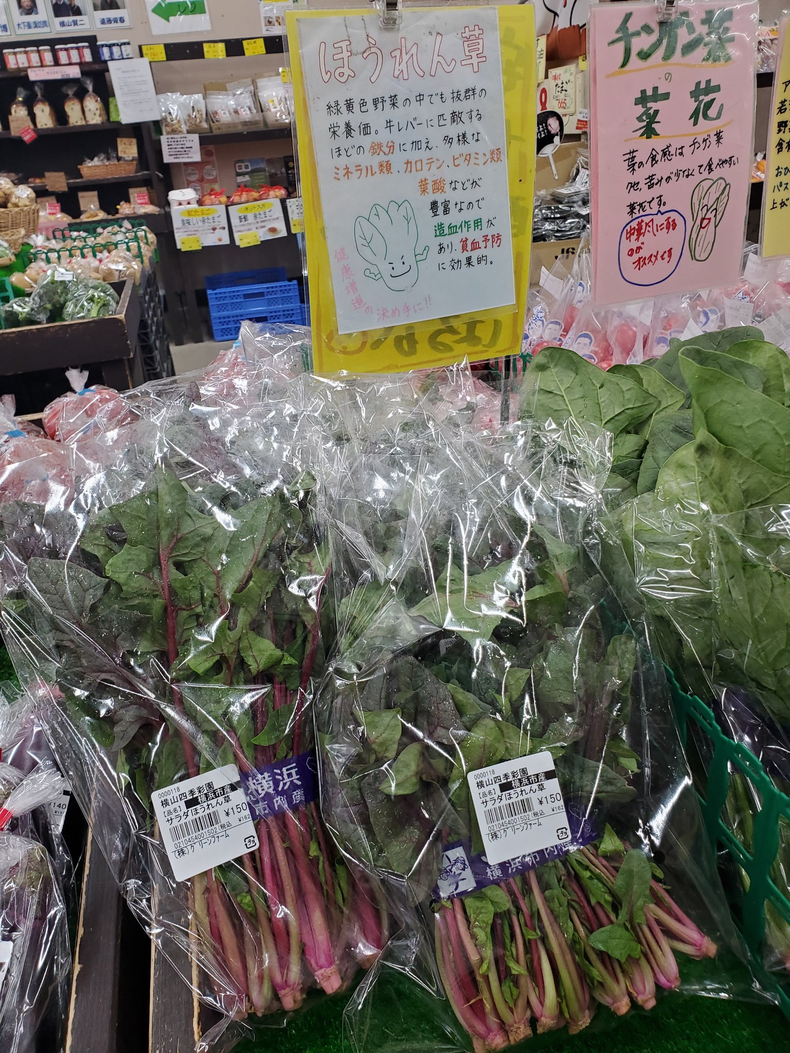 グリーンファームあい菜flora店 公式 Aisaiflora Twitter