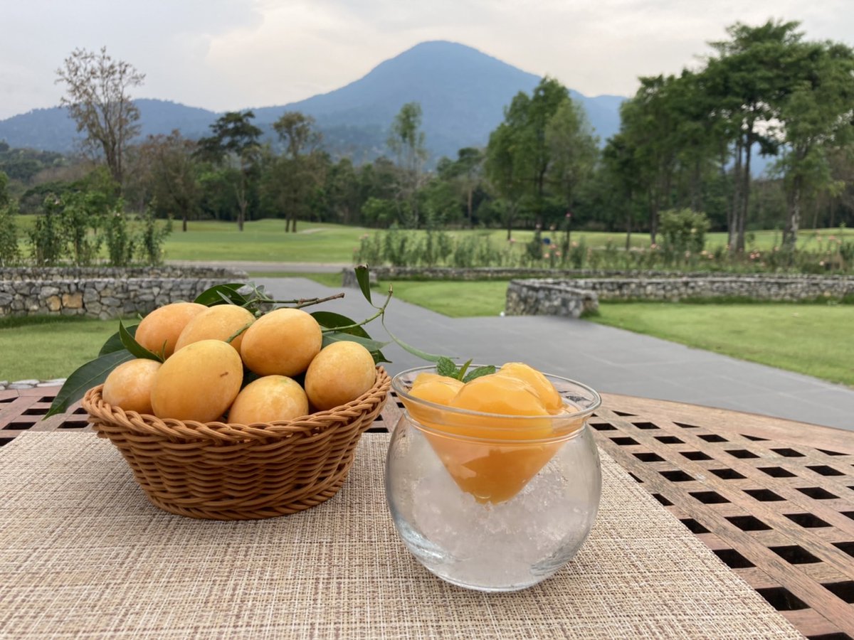 Chatrium's tweet photo. Marian Plums have been described as 'sweet with a pinch of sour', just like your game some days! We like to think the joys of 'Mayong Chid' increase your golfing superpowers with every luscious bite at Chatrium Soi Dao!
#MarianPlum #MayongChid #ChatriumSoidao #FeelTheRemarkable https://t.co/D50aa5KeXN