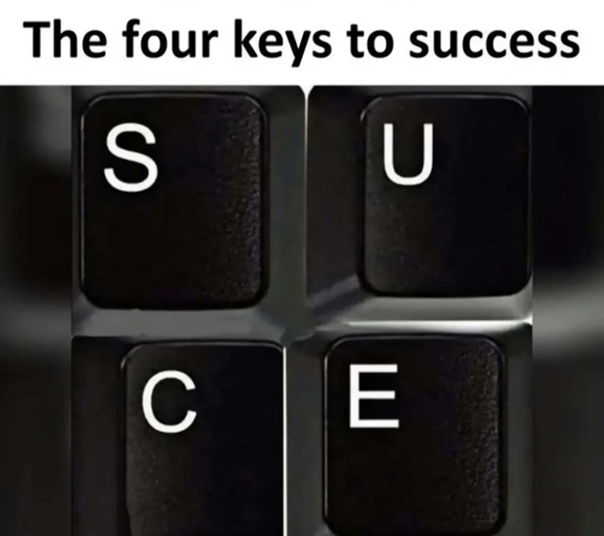 WholesomeMemes tweet media