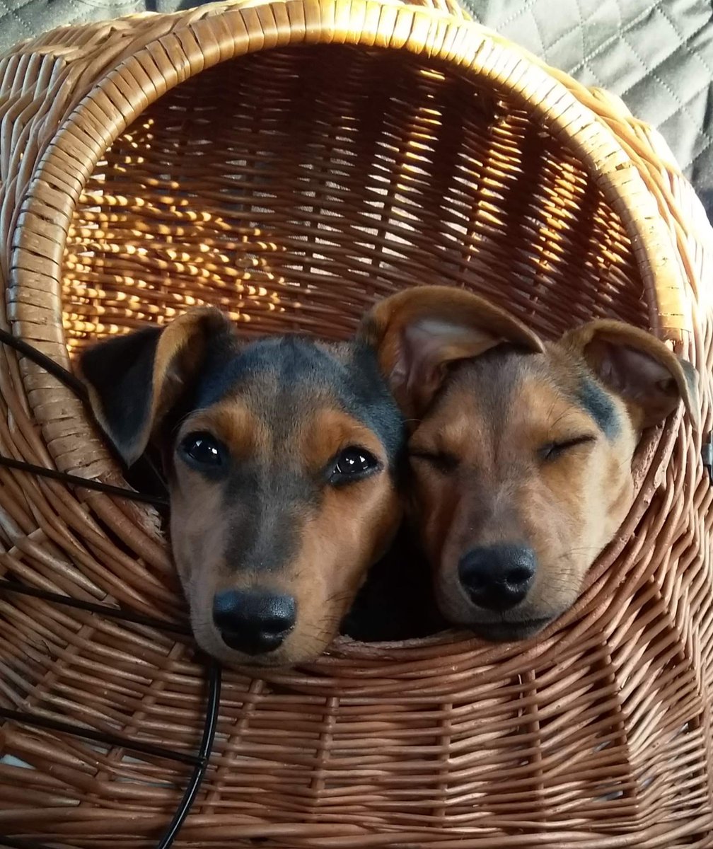 London Gay Spanker 🇬🇧 tweet media